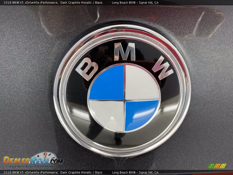 2018 BMW X5 xDrive40e iPerfomance Dark Graphite Metallic / Black Photo #10