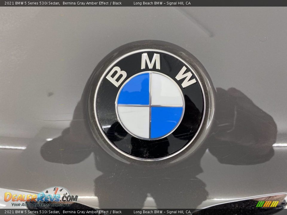2021 BMW 5 Series 530i Sedan Bernina Gray Amber Effect / Black Photo #5