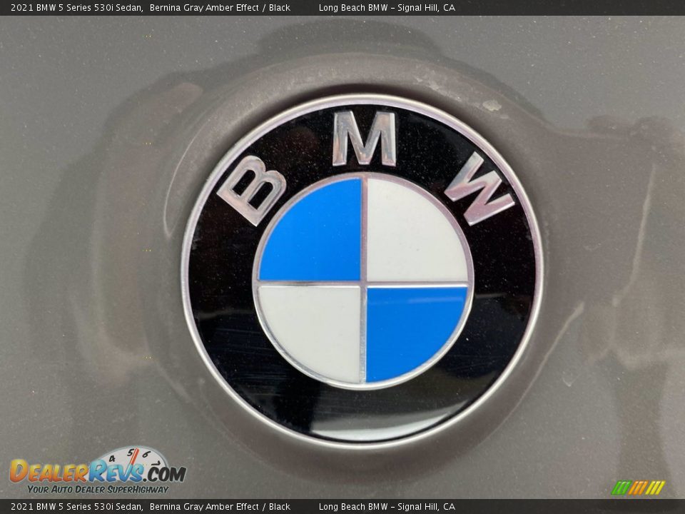 2021 BMW 5 Series 530i Sedan Logo Photo #7