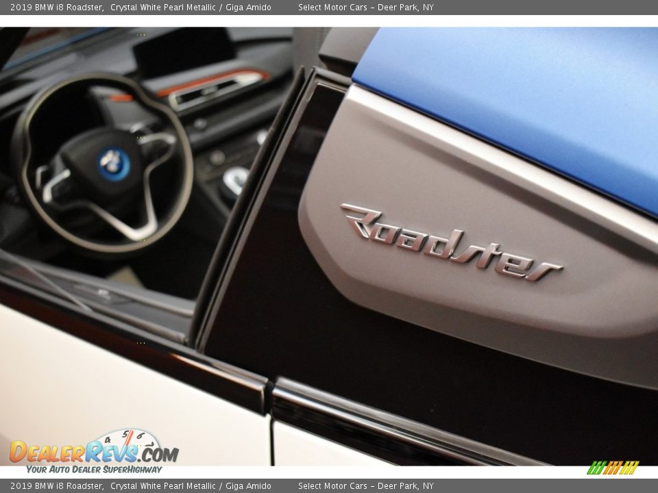 2019 BMW i8 Roadster Logo Photo #11
