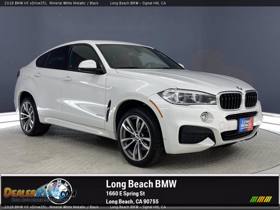 2018 BMW X6 xDrive35i Mineral White Metallic / Black Photo #1