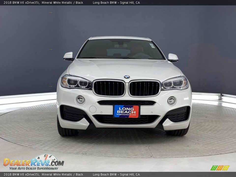 2018 BMW X6 xDrive35i Mineral White Metallic / Black Photo #2