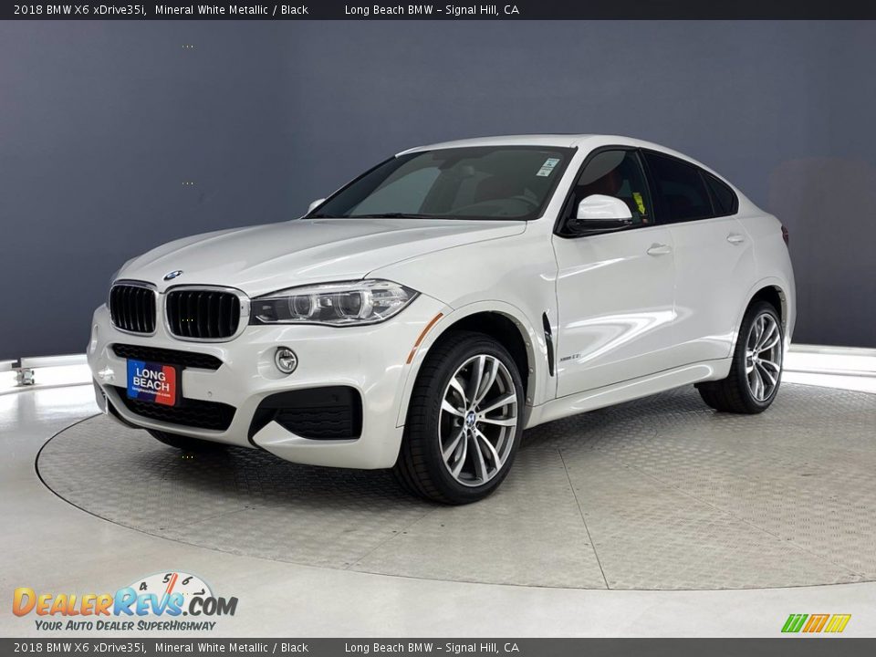 2018 BMW X6 xDrive35i Mineral White Metallic / Black Photo #3