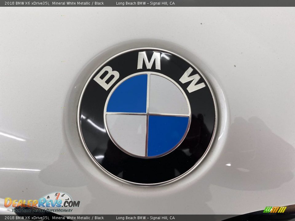 2018 BMW X6 xDrive35i Mineral White Metallic / Black Photo #8