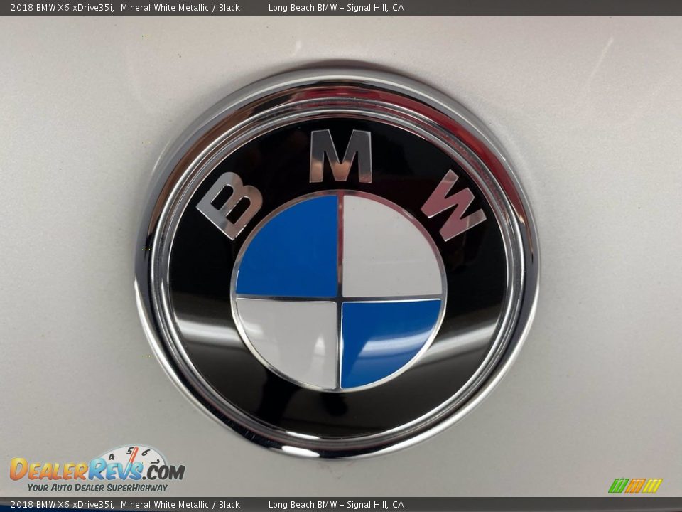 2018 BMW X6 xDrive35i Mineral White Metallic / Black Photo #10