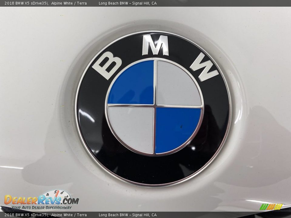 2018 BMW X5 sDrive35i Alpine White / Terra Photo #8