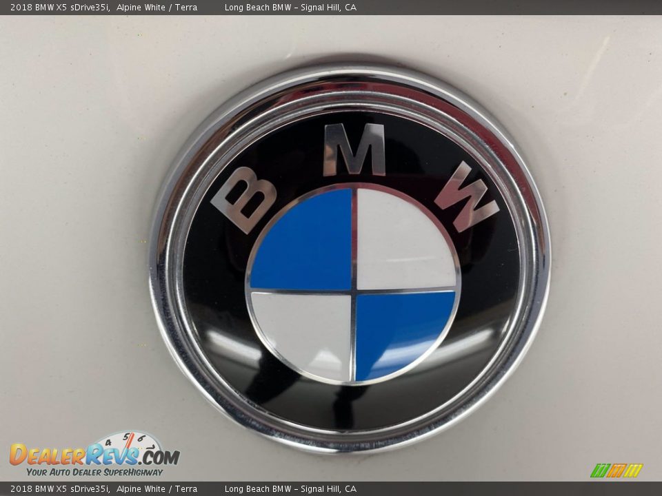 2018 BMW X5 sDrive35i Alpine White / Terra Photo #10
