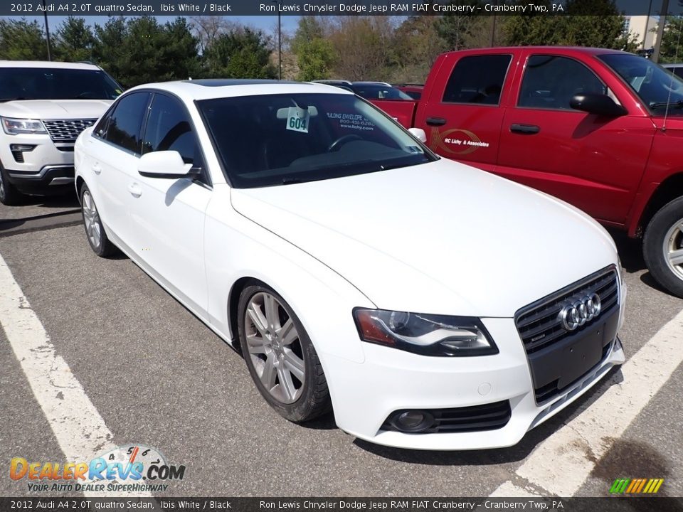 2012 Audi A4 2.0T quattro Sedan Ibis White / Black Photo #2