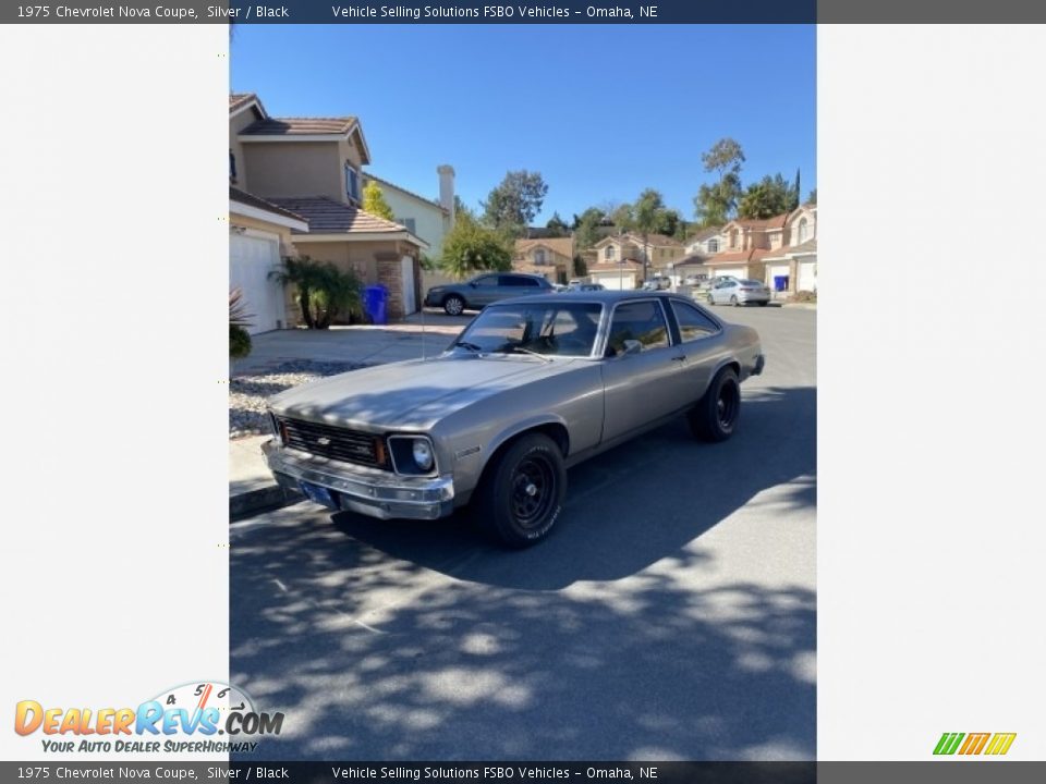 1975 Chevrolet Nova Coupe Silver / Black Photo #6