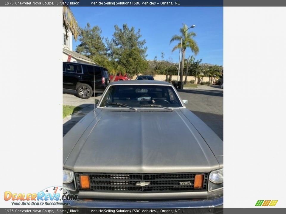 1975 Chevrolet Nova Coupe Silver / Black Photo #8