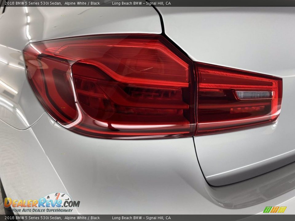 2018 BMW 5 Series 530i Sedan Alpine White / Black Photo #9