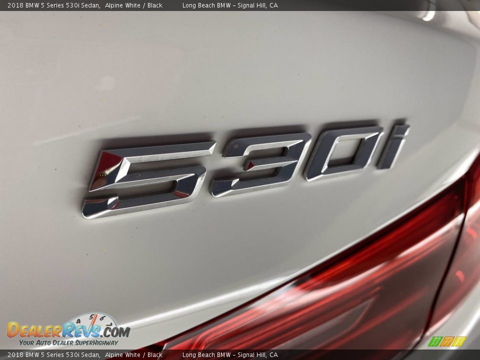 2018 BMW 5 Series 530i Sedan Alpine White / Black Photo #11
