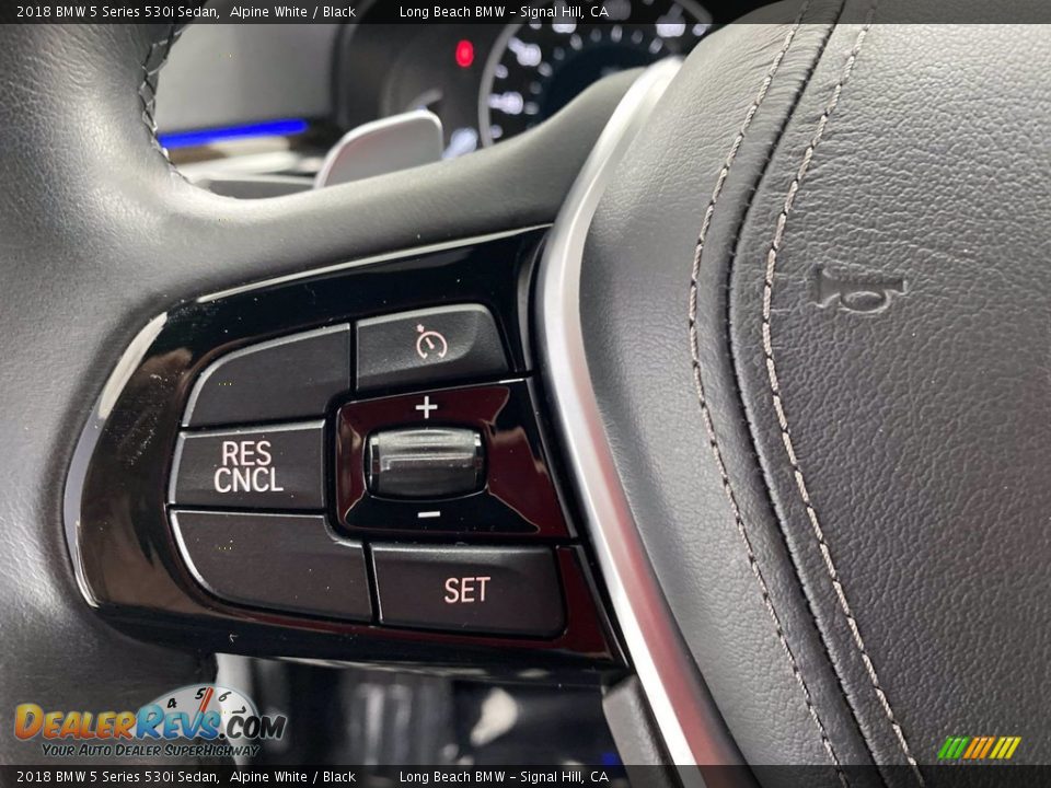 2018 BMW 5 Series 530i Sedan Alpine White / Black Photo #19