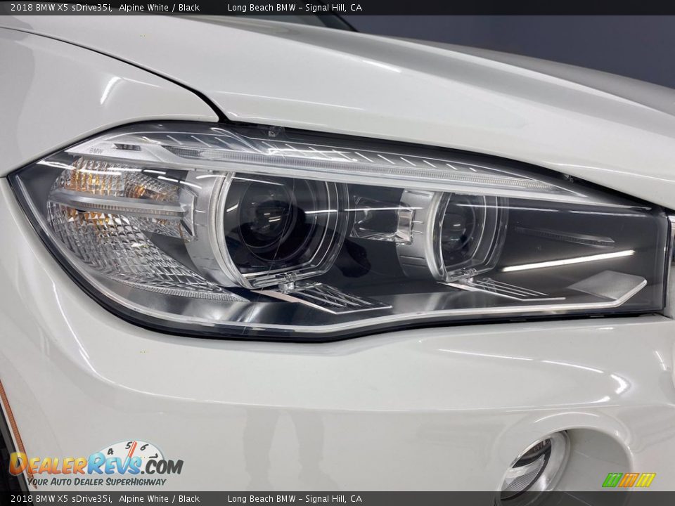 2018 BMW X5 sDrive35i Alpine White / Black Photo #7