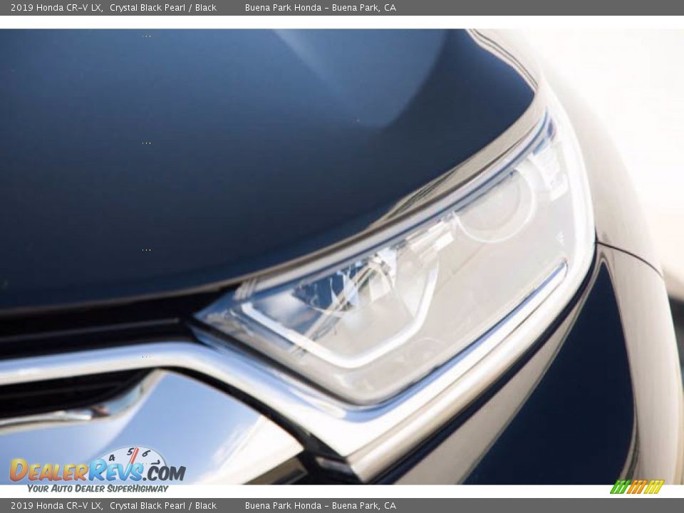 2019 Honda CR-V LX Crystal Black Pearl / Black Photo #9