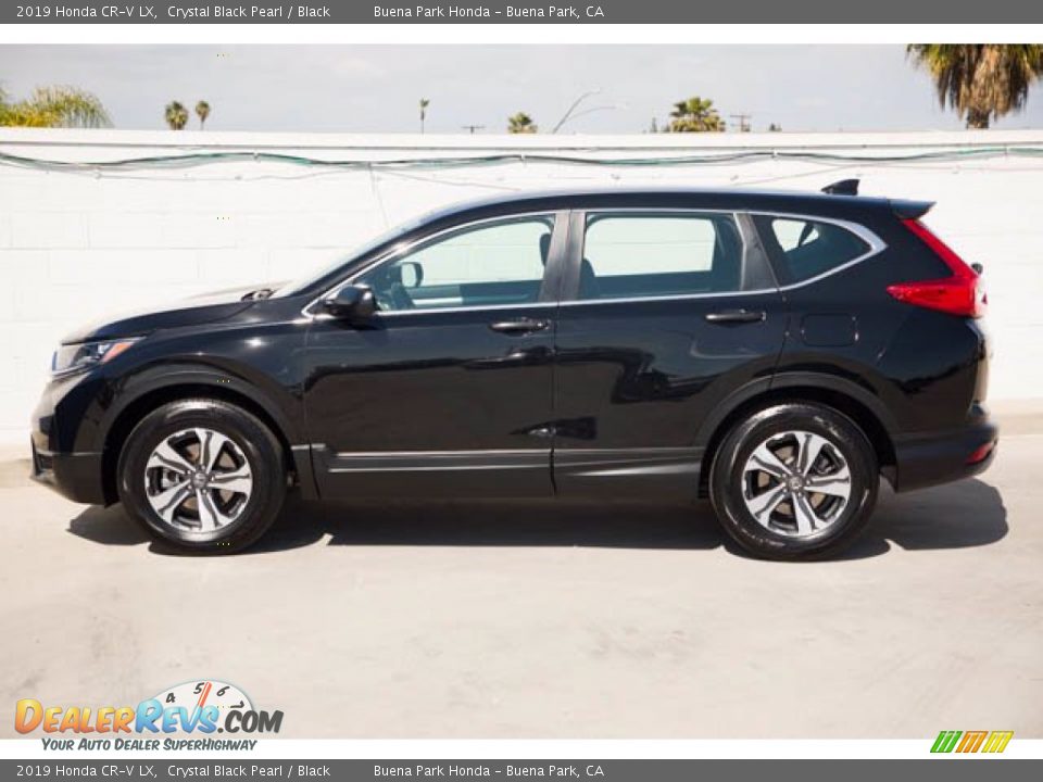 2019 Honda CR-V LX Crystal Black Pearl / Black Photo #10