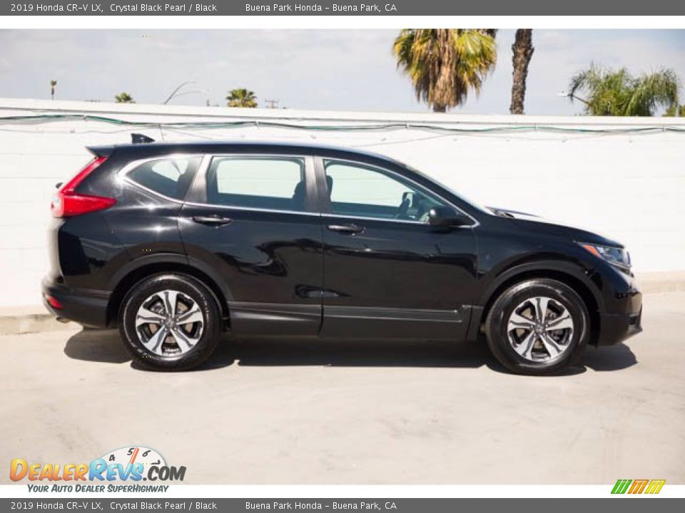 2019 Honda CR-V LX Crystal Black Pearl / Black Photo #12