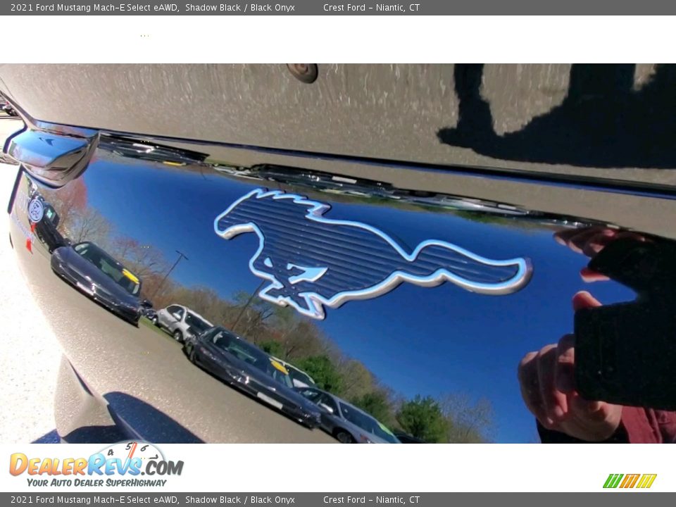 2021 Ford Mustang Mach-E Select eAWD Logo Photo #9