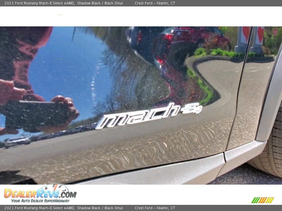 2021 Ford Mustang Mach-E Select eAWD Logo Photo #24