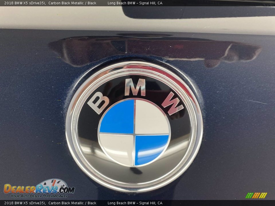 2018 BMW X5 sDrive35i Carbon Black Metallic / Black Photo #10