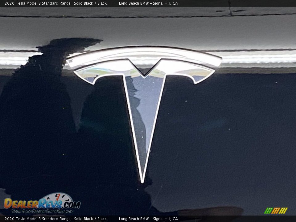2020 Tesla Model 3 Standard Range Logo Photo #10