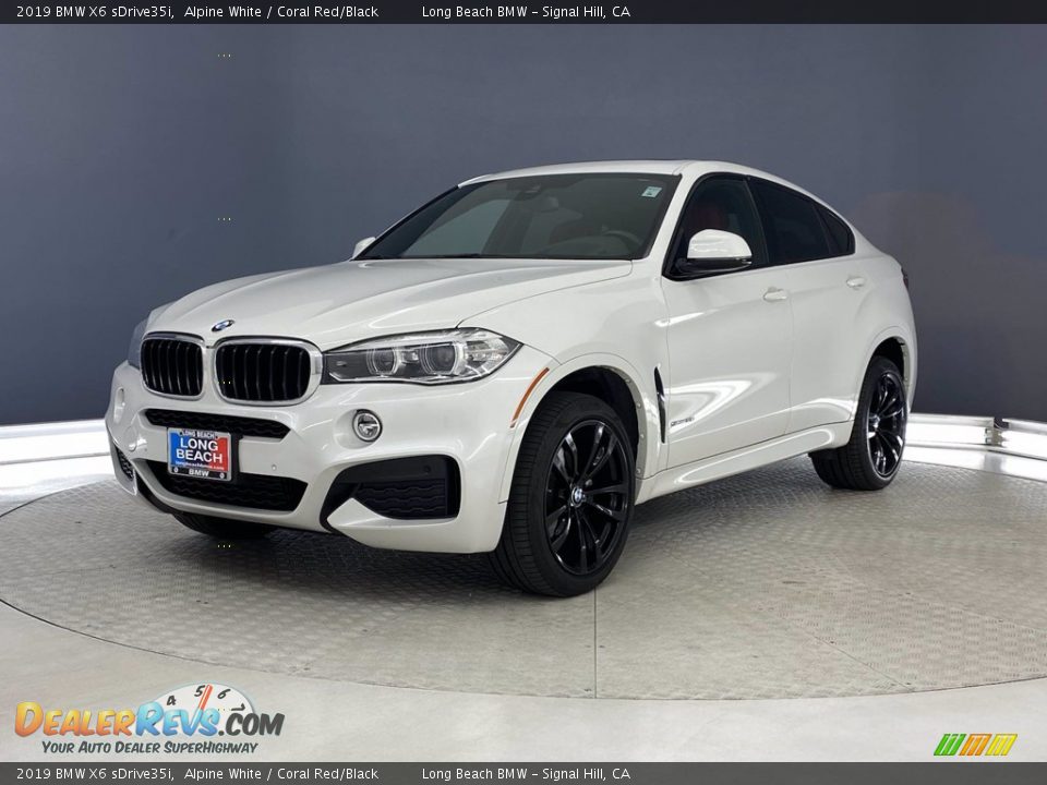 Alpine White 2019 BMW X6 sDrive35i Photo #3