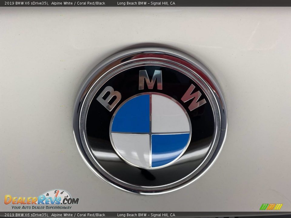 2019 BMW X6 sDrive35i Logo Photo #10