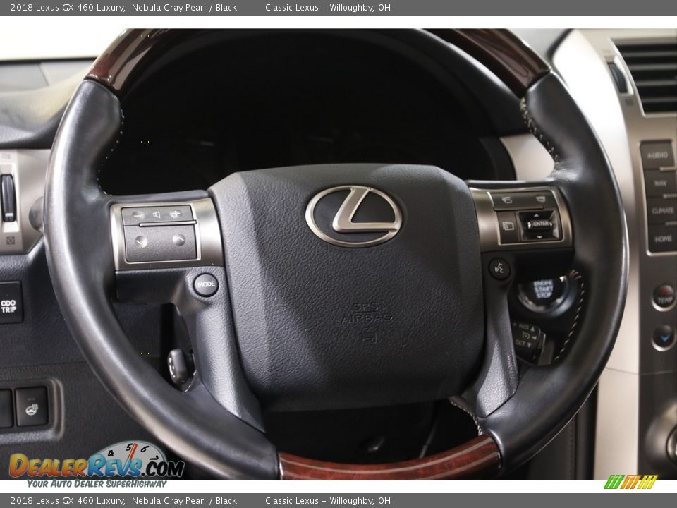 2018 Lexus GX 460 Luxury Steering Wheel Photo #7