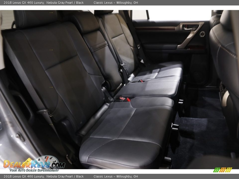 Rear Seat of 2018 Lexus GX 460 Luxury Photo #19