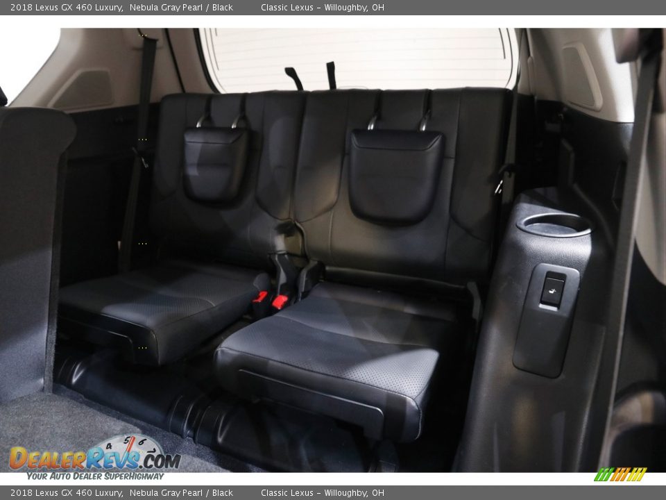 Rear Seat of 2018 Lexus GX 460 Luxury Photo #22