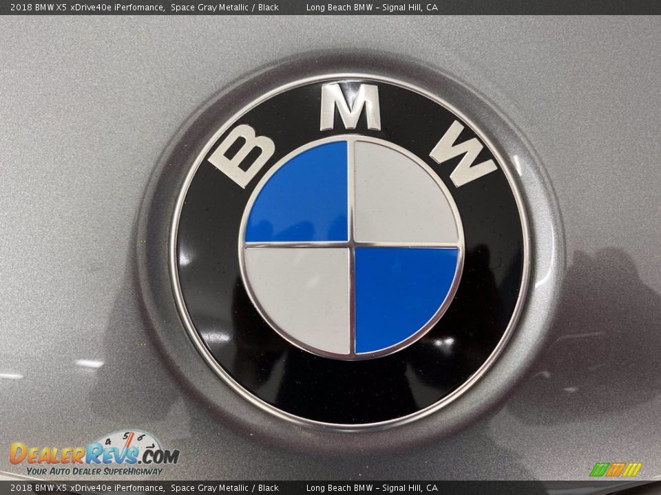 2018 BMW X5 xDrive40e iPerfomance Space Gray Metallic / Black Photo #8
