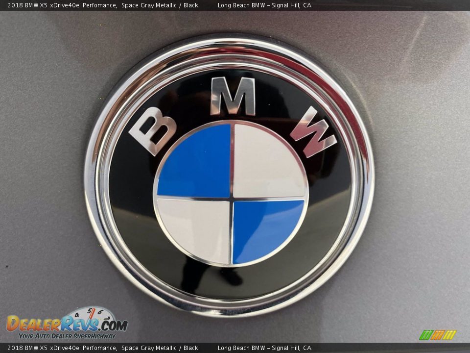 2018 BMW X5 xDrive40e iPerfomance Space Gray Metallic / Black Photo #10