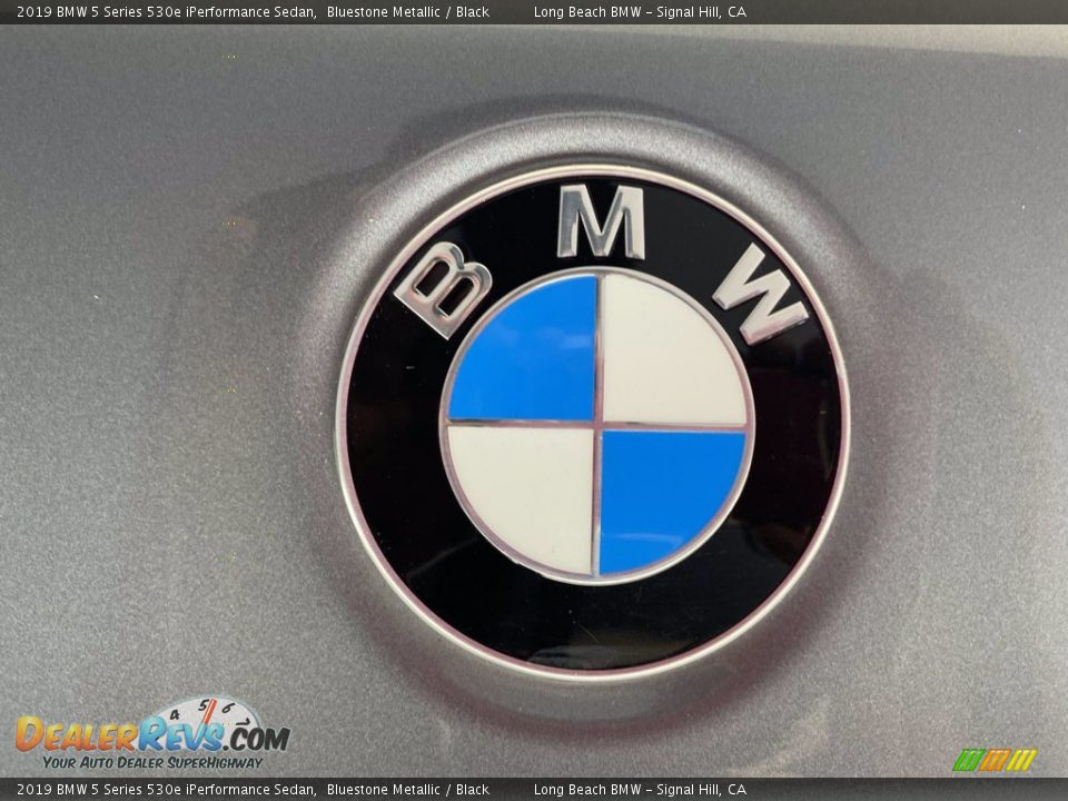 2019 BMW 5 Series 530e iPerformance Sedan Bluestone Metallic / Black Photo #10