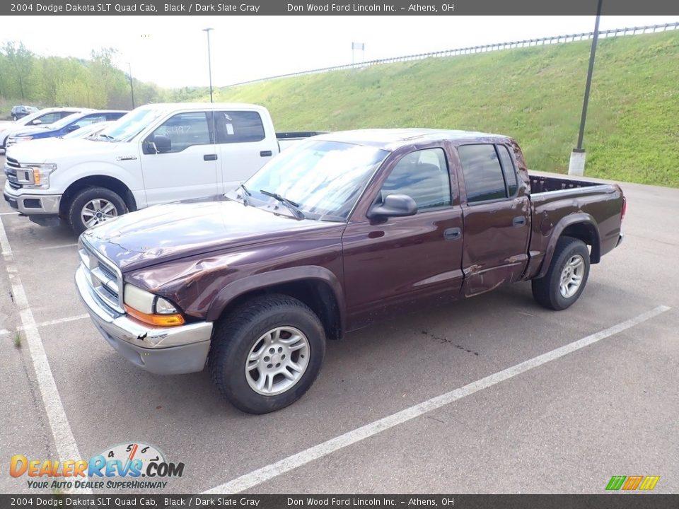 2004 Dodge Dakota SLT Quad Cab Black / Dark Slate Gray Photo #8