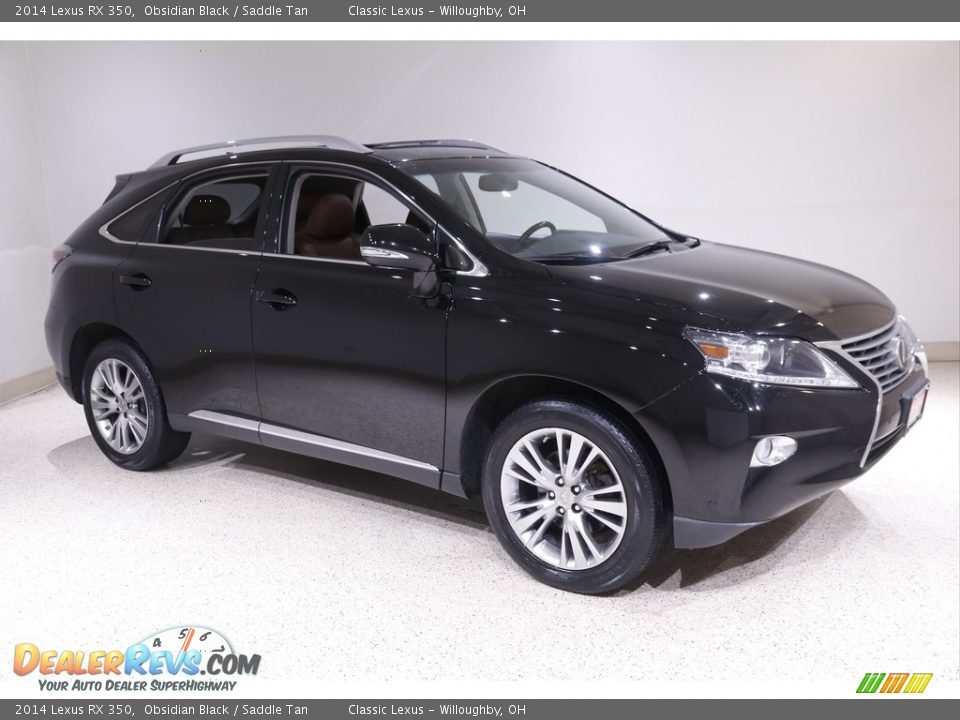 Front 3/4 View of 2014 Lexus RX 350 Photo #1