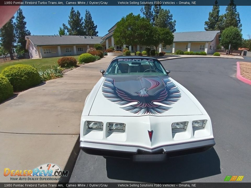 1980 Pontiac Firebird Turbo Trans Am Cameo White / Oyster/Gray Photo #1