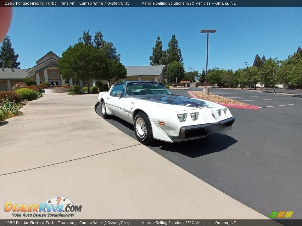 1980 Pontiac Firebird Turbo Trans Am Cameo White / Oyster/Gray Photo #2