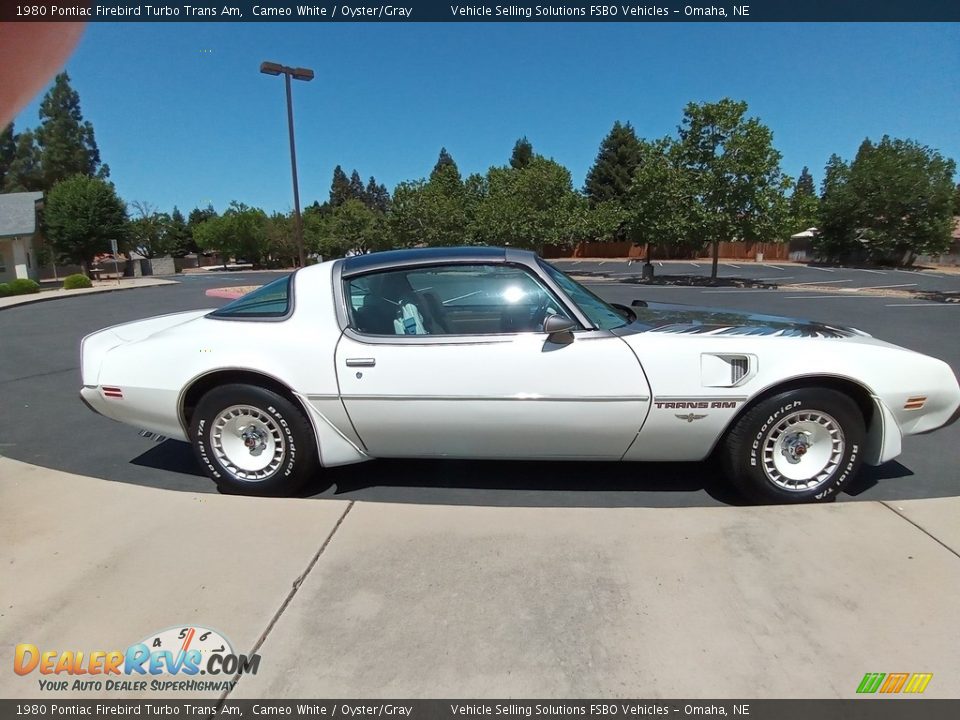 1980 Pontiac Firebird Turbo Trans Am Cameo White / Oyster/Gray Photo #3