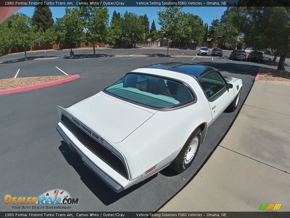 1980 Pontiac Firebird Turbo Trans Am Cameo White / Oyster/Gray Photo #4