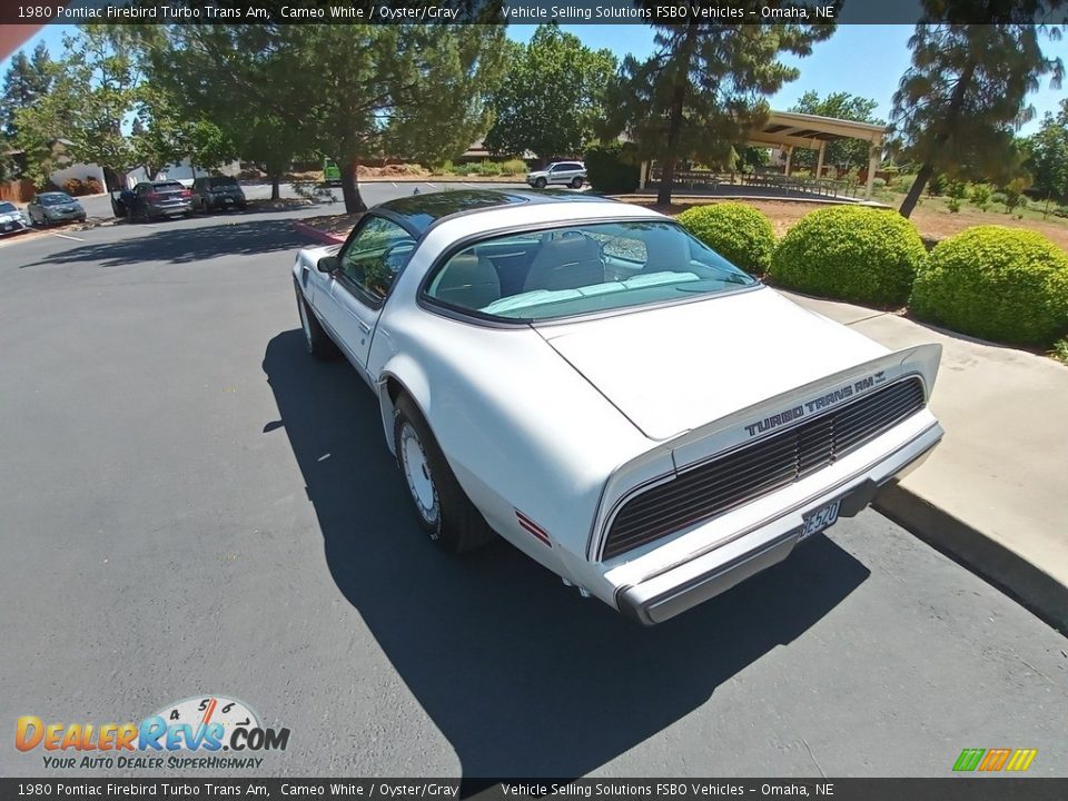 1980 Pontiac Firebird Turbo Trans Am Cameo White / Oyster/Gray Photo #6