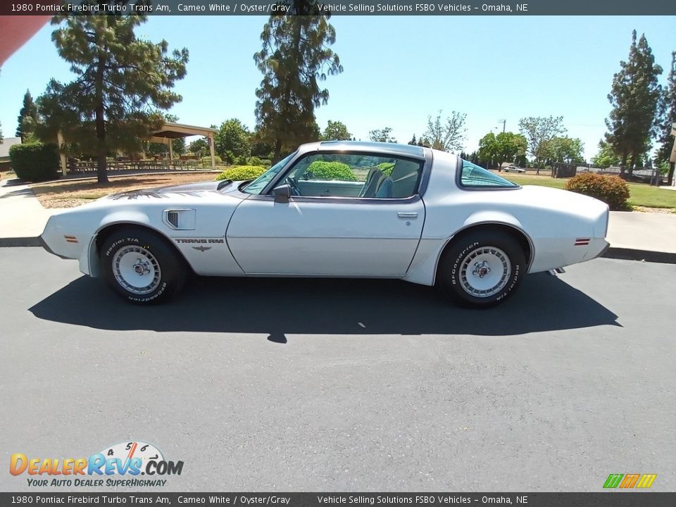 1980 Pontiac Firebird Turbo Trans Am Cameo White / Oyster/Gray Photo #7