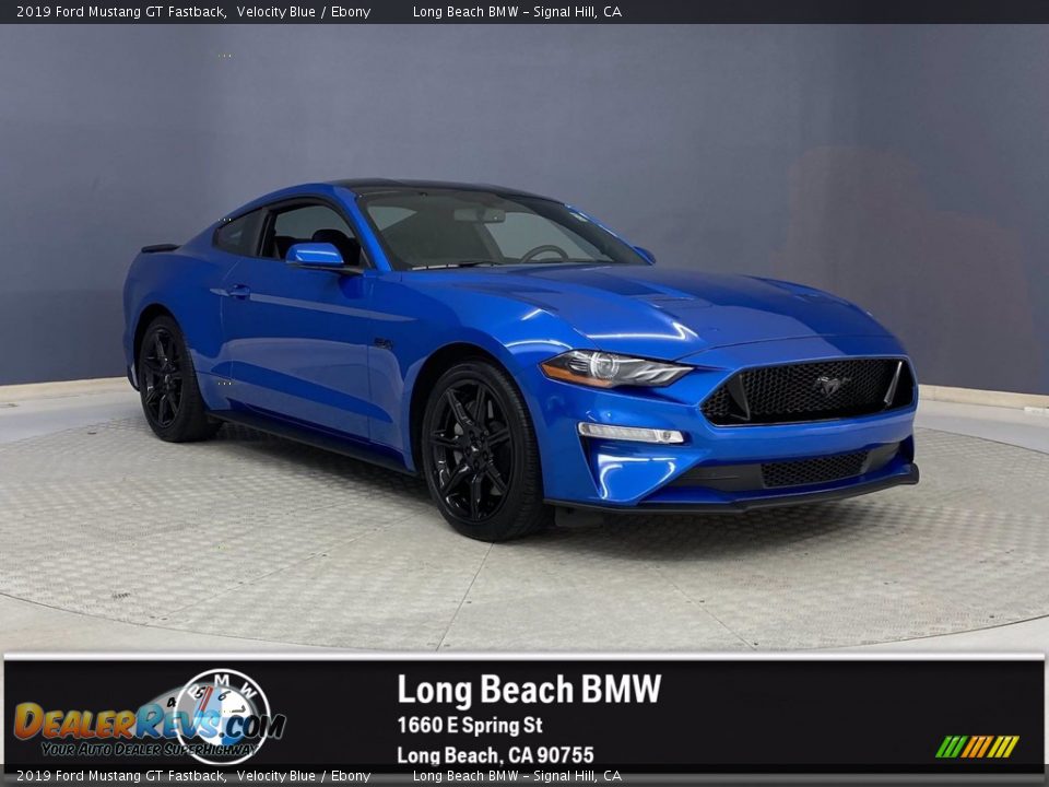 2019 Ford Mustang GT Fastback Velocity Blue / Ebony Photo #1