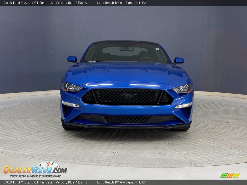 2019 Ford Mustang GT Fastback Velocity Blue / Ebony Photo #2