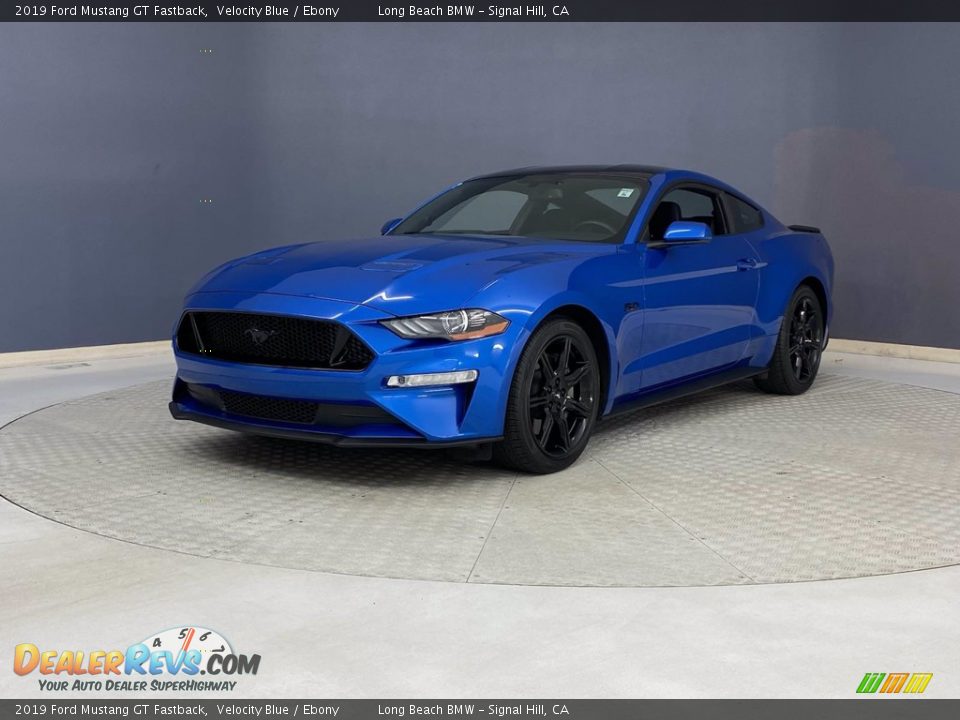 2019 Ford Mustang GT Fastback Velocity Blue / Ebony Photo #3