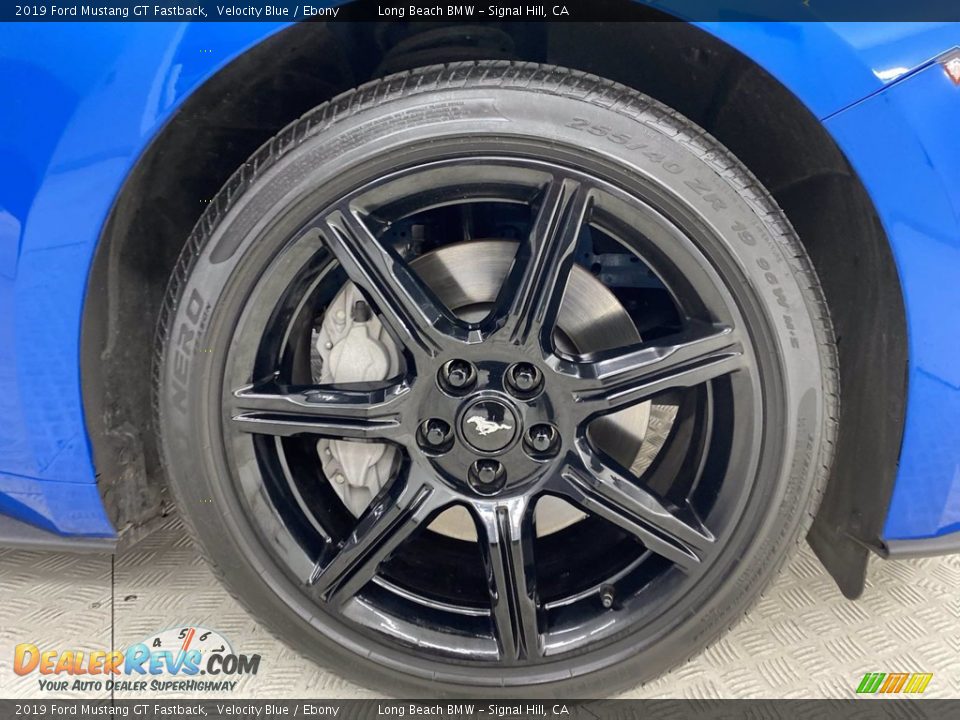 2019 Ford Mustang GT Fastback Velocity Blue / Ebony Photo #6
