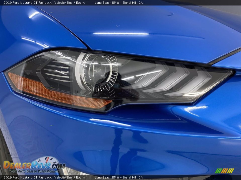 2019 Ford Mustang GT Fastback Velocity Blue / Ebony Photo #7