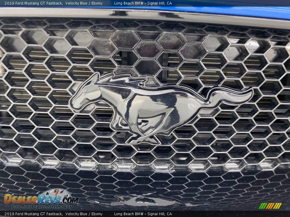 2019 Ford Mustang GT Fastback Velocity Blue / Ebony Photo #8