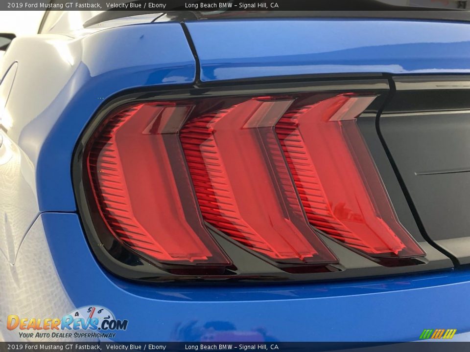 2019 Ford Mustang GT Fastback Velocity Blue / Ebony Photo #9