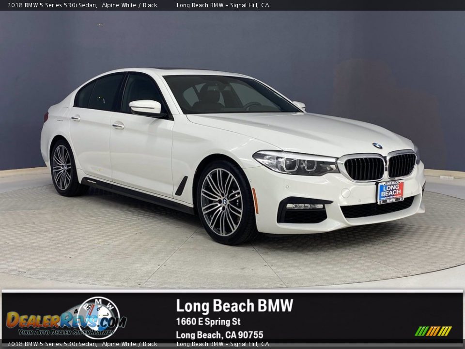 2018 BMW 5 Series 530i Sedan Alpine White / Black Photo #1