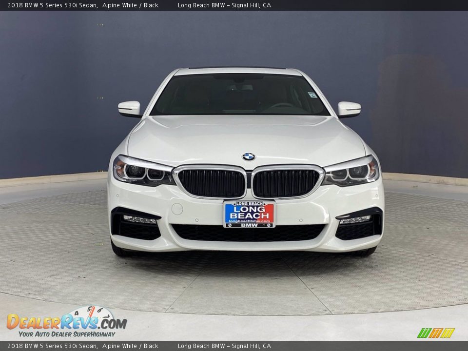 2018 BMW 5 Series 530i Sedan Alpine White / Black Photo #2